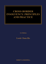 Cross-Border Insolvency Practice