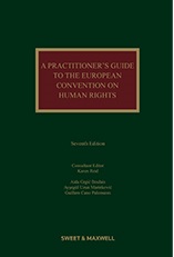 A Practitioner's Guide to the European Convention on Human Rights 7th Edition