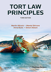 Tort Law Principles Third Edition